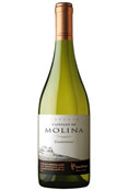 Castillo de Molina Chardonnay Reserva Castillo de Molina Chardonnay Reserva