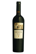 Castillo de Molina Merlot Reserva Castillo de Molina Merlot Reserva